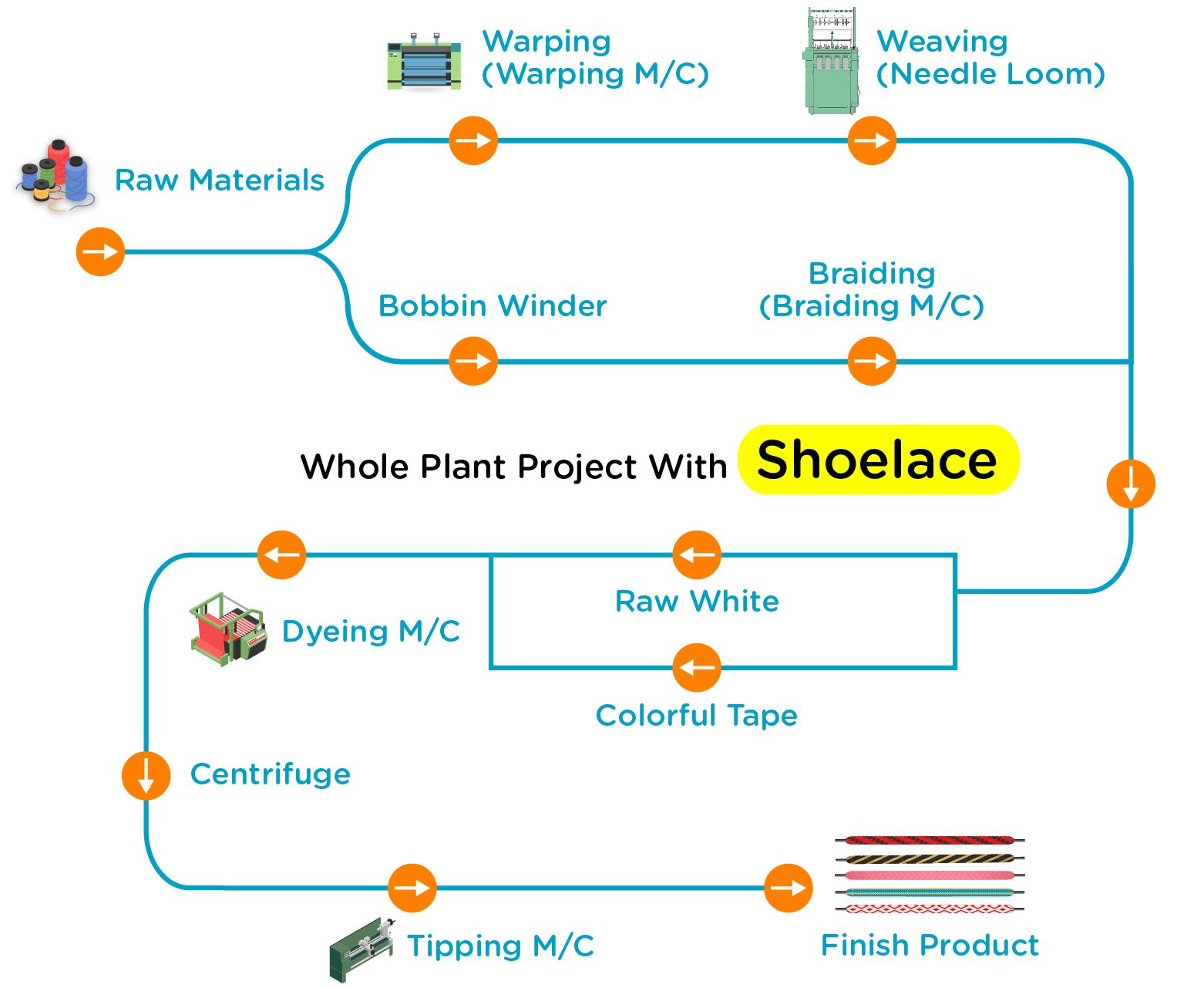 shoelace-whole-plant